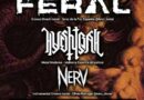 Algarve Groove Metal Riot No Bafo de Baco!
